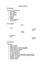 Konspekts 'Biznesa sarunu vešanas prasme', 3.