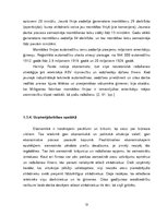 Referāts 'Darba ražīgums', 13.