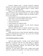 Referāts 'Darba ražīgums', 29.