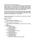 Paraugs 'Summatīvais pārbaudes darbs Ievads tiesību teorijā', 2.