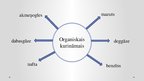 Prezentācija 'Organiskais kurināmais un apkārtējās vides aizsardzība.', 4.
