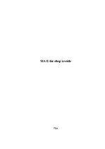 Biznesa plāns 'SIA E-bic shop izveide', 1.