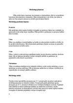 Biznesa plāns 'SIA E-bic shop izveide', 9.