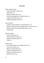 Biznesa plāns 'SIA E-bic shop izveide', 13.