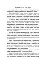 Referāts 'Reklāma', 9.