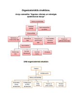 Paraugs 'Organizatoriskās struktūras', 1.