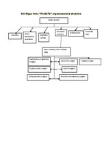 Paraugs 'Organizatoriskās struktūras', 2.