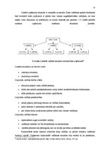 Referāts 'Uzņēmuma vadības sistēma', 13.