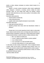 Referāts 'Uzņēmuma vadības sistēma', 14.