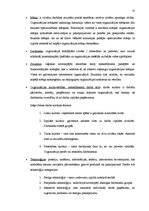 Referāts 'Uzņēmuma vadības sistēma', 15.