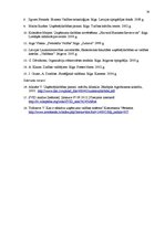 Referāts 'Uzņēmuma vadības sistēma', 19.