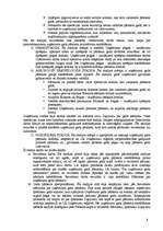 Konspekts 'Uzņēmuma gada pārskats', 3.