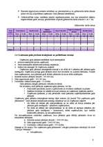 Konspekts 'Uzņēmuma gada pārskats', 5.