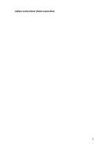 Konspekts 'Uzņēmuma gada pārskats', 20.