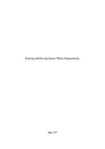 Referāts 'Latvijas darbība Apvienoto Nāciju Organizācijā', 1.