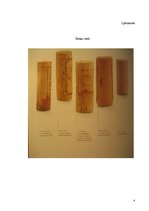 Referāts 'Vīns', 32.