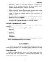 Prakses atskaite 'Prakse AS "Hipotēku un zemes banka"', 8.