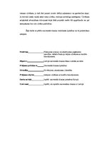 Referāts 'Universālais dizains interjerā', 4.