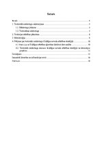 Referāts 'Teritoriālais mārketings Kuldīgas attīstības stratēģijā', 3.