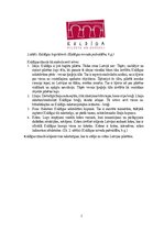 Referāts 'Teritoriālais mārketings Kuldīgas attīstības stratēģijā', 7.