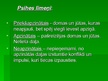 Prezentācija 'Freids. Psihodinamiskā teorija', 5.