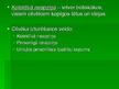 Prezentācija 'Freids. Psihodinamiskā teorija', 15.
