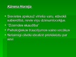 Prezentācija 'Freids. Psihodinamiskā teorija', 17.