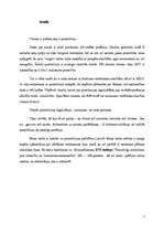 Referāts 'Prostitūcija', 2.