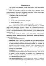 Referāts 'Tūrisma nozares transporta sektora raksturojums', 5.