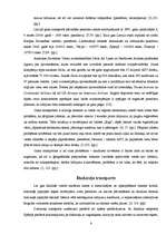 Referāts 'Tūrisma nozares transporta sektora raksturojums', 6.