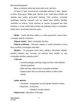 Referāts 'Bērnu socializācijas process', 3.