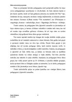 Referāts 'Bērnu socializācijas process', 9.