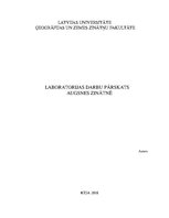 Referāts 'Augsnes zinātnes laboratorijas darbu pārskats', 1.