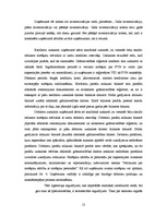 Prakses atskaite 'Kvalifikācijas prakses atskaite', 12.