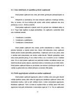 Prakses atskaite 'Kvalifikācijas prakses atskaite', 17.