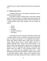 Prakses atskaite 'Kvalifikācijas prakses atskaite', 19.