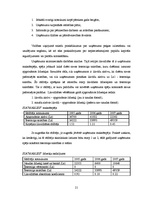 Prakses atskaite 'Kvalifikācijas prakses atskaite', 21.