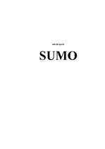 Konspekts 'Sumo', 1.