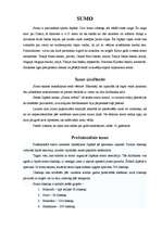 Konspekts 'Sumo', 2.