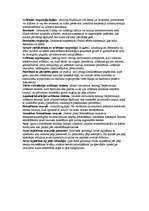 Konspekts 'Pāļu pamati', 3.