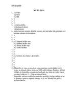 Konspekts 'Tests ģeogrāfijā', 3.