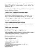 Referāts 'Ceļojuma maršruta izstrāde - Malaizijas Jaunais gads', 3.