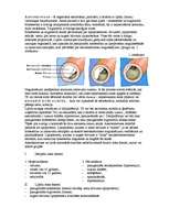 Referāts 'Klīniskā farmācija', 8.