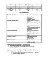 Referāts 'Klīniskā farmācija', 14.