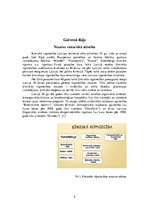 Konspekts '"Grindeks" - vadošais farmācijas uzņēmums Baltijā', 5.