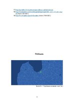 Konspekts '"Grindeks" - vadošais farmācijas uzņēmums Baltijā', 11.