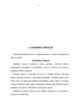 Referāts 'SIA pārvalde, dalībnieku sapulce un peļņas sadale', 9.