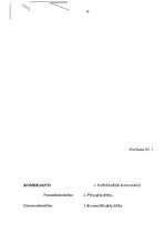 Referāts 'SIA pārvalde, dalībnieku sapulce un peļņas sadale', 16.