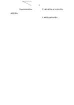 Referāts 'SIA pārvalde, dalībnieku sapulce un peļņas sadale', 17.