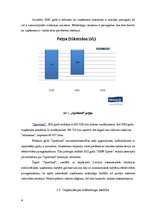 Referāts 'Uzņēmuma stratēģijas analīze', 6.